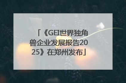 《GEI世界独角兽企业发展报告2025》在郑州发布
