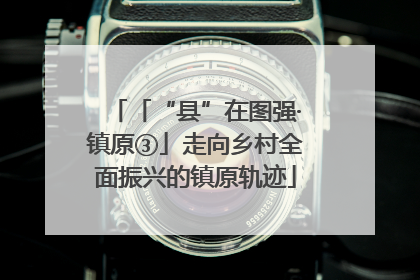 「“县”在图强·镇原③」走向乡村全面振兴的镇原轨迹