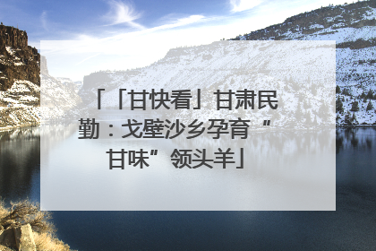 「甘快看」甘肃民勤：戈壁沙乡孕育“甘味”领头羊