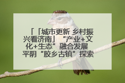 「城市更新 乡村振兴看济南」“产业+文化+生态”融合发展 平阴“胶乡古镇”探索振兴路径成效显著
