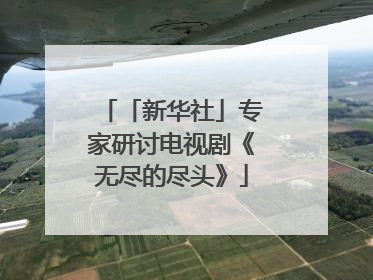 「新华社」专家研讨电视剧《无尽的尽头》