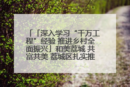 「深入学习“千万工程”经验 推进乡村全面振兴」和美荔城 共富共美 荔城区扎实推进乡村振兴工作