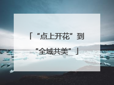 “点上开花”到“全域共美”