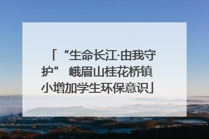 “生命长江·由我守护” 峨眉山桂花桥镇小增加学生环保意识