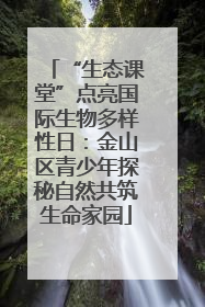“生态课堂”点亮国际生物多样性日：金山区青少年探秘自然共筑生命家园