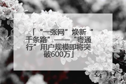 “一张网”焕新“千条路”——“粤通行”用户规模即将突破600万