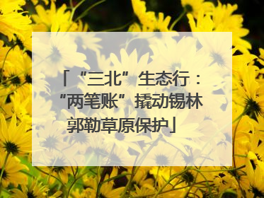 “三北”生态行：“两笔账”撬动锡林郭勒草原保护