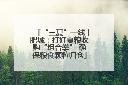 “三夏”一线丨肥城：打好夏粮收购“组合拳” 确保粮食颗粒归仓