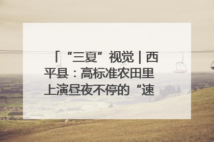 “三夏”视觉｜西平县：高标准农田里上演昼夜不停的“速度与激情”