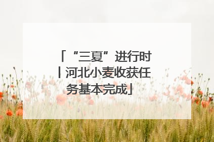 “三夏”进行时丨河北小麦收获任务基本完成