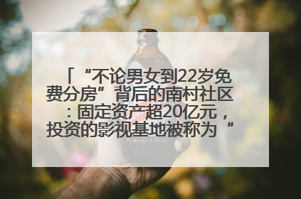“不论男女到22岁免费分房”背后的南村社区：固定资产超20亿元，投资的影视基地被称为“山村好莱坞”