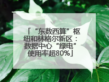 “东数西算”枢纽和林格尔新区：数据中心“绿电”使用率超80%