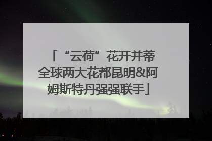 “云荷”花开并蒂 全球两大花都昆明&阿姆斯特丹强强联手