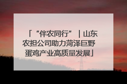 “伴农同行”｜山东农担公司助力菏泽巨野蛋鸡产业高质量发展