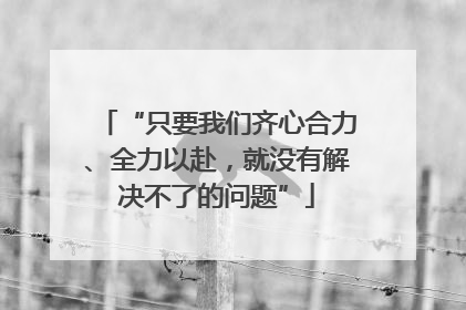 “只要我们齐心合力、全力以赴，就没有解决不了的问题”