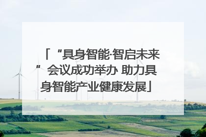 “具身智能·智启未来”会议成功举办 助力具身智能产业健康发展