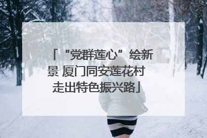 “党群莲心”绘新景 厦门同安莲花村走出特色振兴路