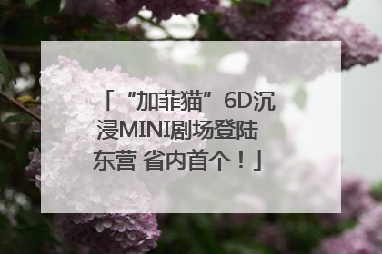 “加菲猫”6D沉浸MINI剧场登陆东营 省内首个！