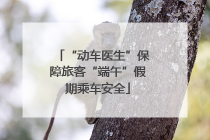 “动车医生”保障旅客“端午”假期乘车安全