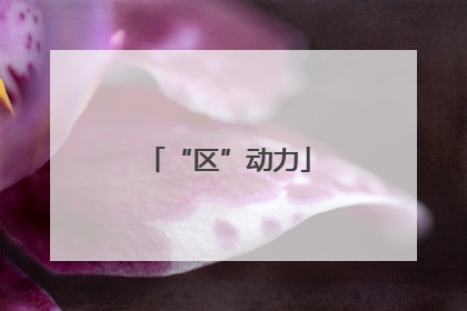 “区”动力