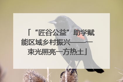 “匠谷公益”助学赋能区域乡村振兴——一束光照亮一方热土