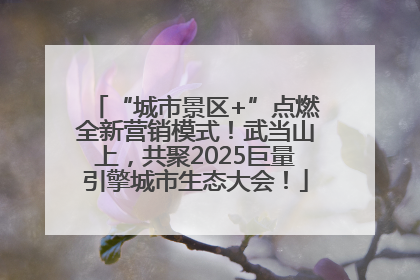 “城市景区+”点燃全新营销模式！武当山上，共聚2025巨量引擎城市生态大会！