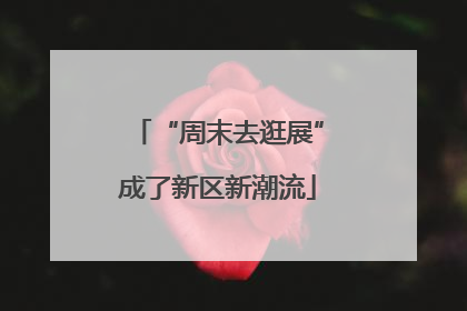 “周末去逛展”成了新区新潮流