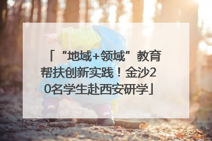 “地域+领域”教育帮扶创新实践！金沙20名学生赴西安研学