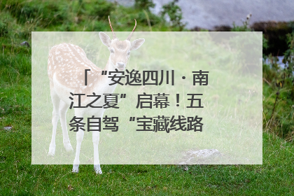 “安逸四川・南江之夏”启幕！五条自驾“宝藏线路”串联避暑胜地