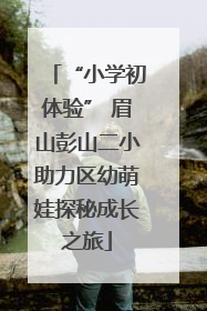 “小学初体验” 眉山彭山二小助力区幼萌娃探秘成长之旅