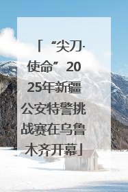 “尖刀·使命”2025年新疆公安特警挑战赛在乌鲁木齐开幕