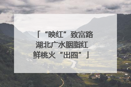 “映红”致富路 湖北广水胭脂红鲜桃火“出圈”