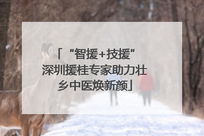 “智援+技援” 深圳援桂专家助力壮乡中医焕新颜