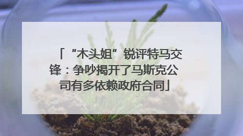 “木头姐”锐评特马交锋：争吵揭开了马斯克公司有多依赖政府合同