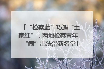 “检察蓝”巧遇“土家红”，两地检察青年“闹”出法治新名堂
