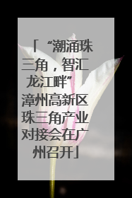 “潮涌珠三角，智汇龙江畔” 漳州高新区珠三角产业对接会在广州召开