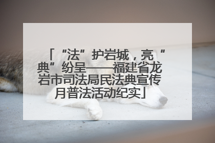 “法”护岩城，亮“典”纷呈——福建省龙岩市司法局民法典宣传月普法活动纪实