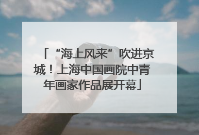 “海上风来”吹进京城！上海中国画院中青年画家作品展开幕