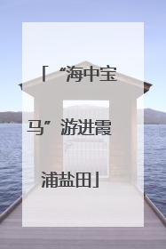 “海中宝马”游进霞浦盐田