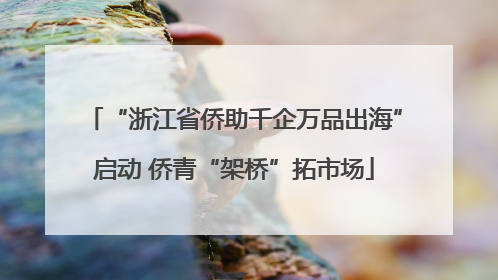 “浙江省侨助千企万品出海”启动 侨青“架桥”拓市场