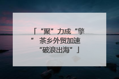 “聚”力成“擎” 茶乡外贸加速“破浪出海”