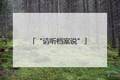“请听档案说”
