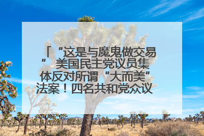 “这是与魔鬼做交易” 美国民主党议员集体反对所谓“大而美”法案！四名共和党众议员投反对票