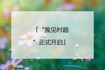 “豫见村超”正式开启
