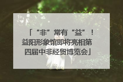 “非”常有“益”！益阳形象馆即将亮相第四届中非经贸博览会