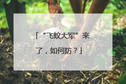 “飞蚁大军”来了，如何防？