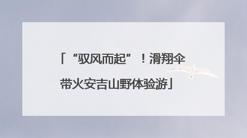 “驭风而起”！滑翔伞带火安吉山野体验游