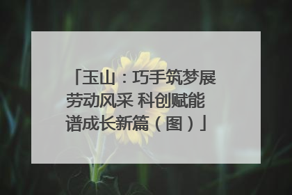 玉山：巧手筑梦展劳动风采 科创赋能谱成长新篇（图）