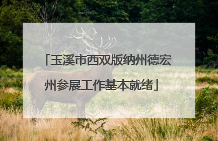 玉溪市西双版纳州德宏州参展工作基本就绪