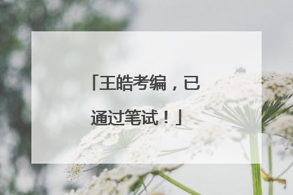 王皓考编，已通过笔试！